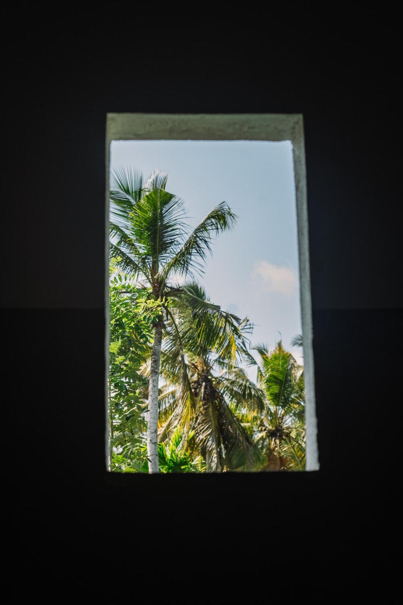 Chill Vibes Hiriketiya Hostel Диквела Екстериор снимка